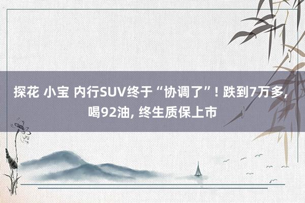 探花 小宝 内行SUV终于“协调了”! 跌到7万多, 喝92油, 终生质保上市