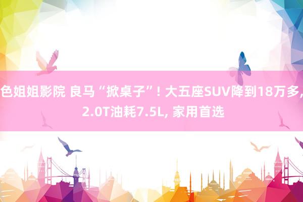 色姐姐影院 良马“掀桌子”! 大五座SUV降到18万多, 2