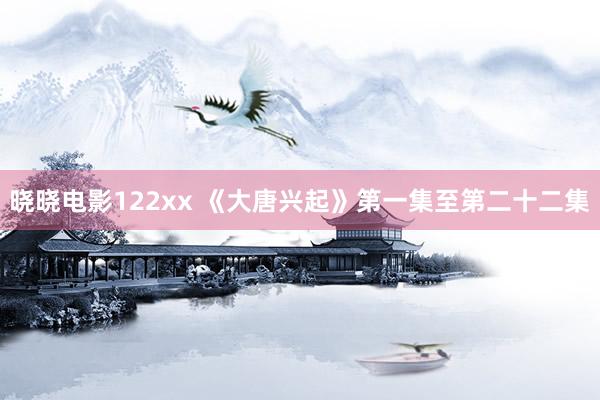 晓晓电影122xx 《大唐兴起》第一集至第二十二集