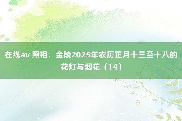 在线av 照相：金陵2025年农历正月十三至十八的花灯与烟花