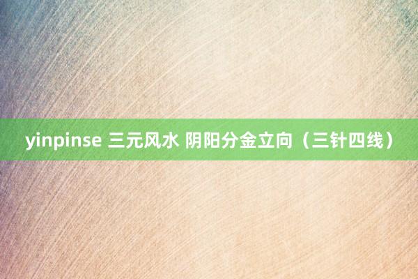 yinpinse 三元风水 阴阳分金立向（三针四线）