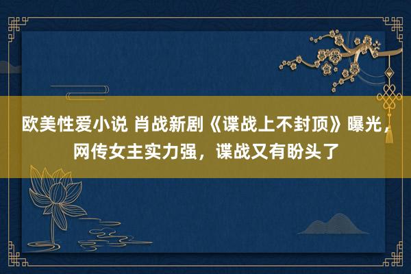 欧美性爱小说 肖战新剧《谍战上不封顶》曝光，网传女主实力强，